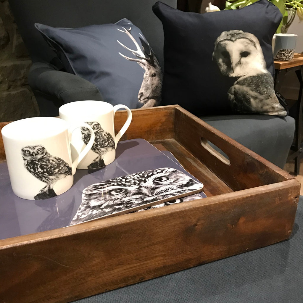 Owl and Bird Homewares and Gifts