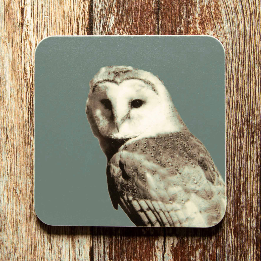 Barn Owl Coaster - Blue Grey