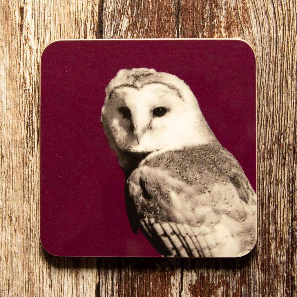 Barn Owl Coaster - Mulberry
