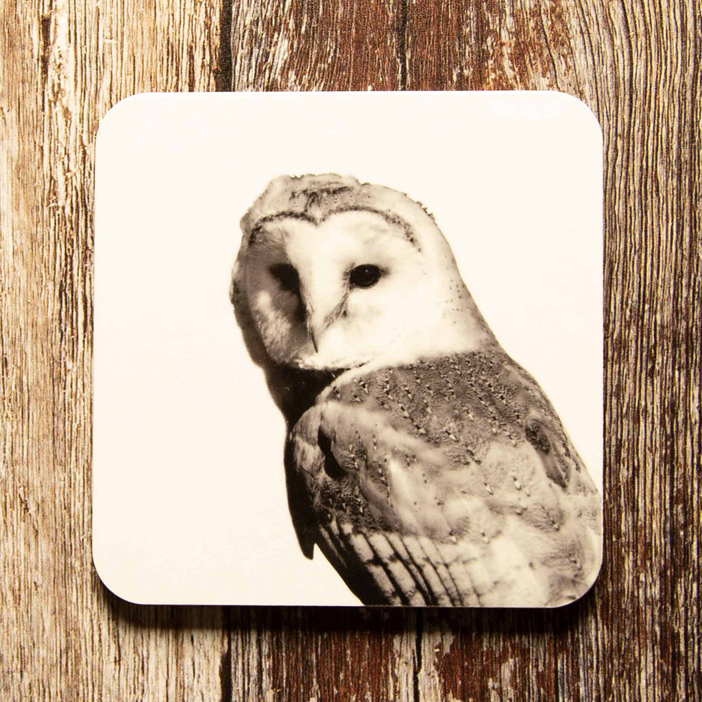 Barn Owl Coaster - White