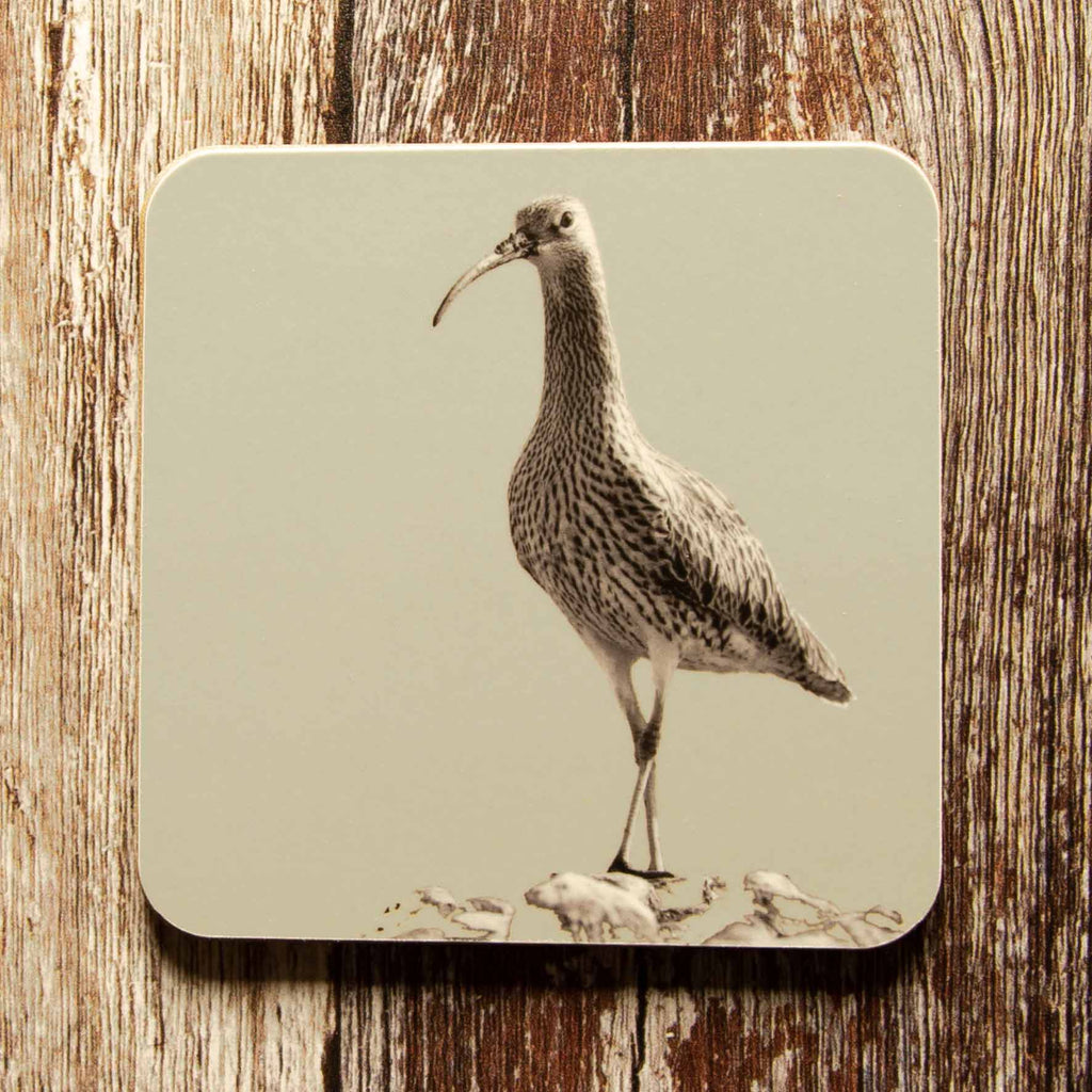 Curlew Coaster - Sand