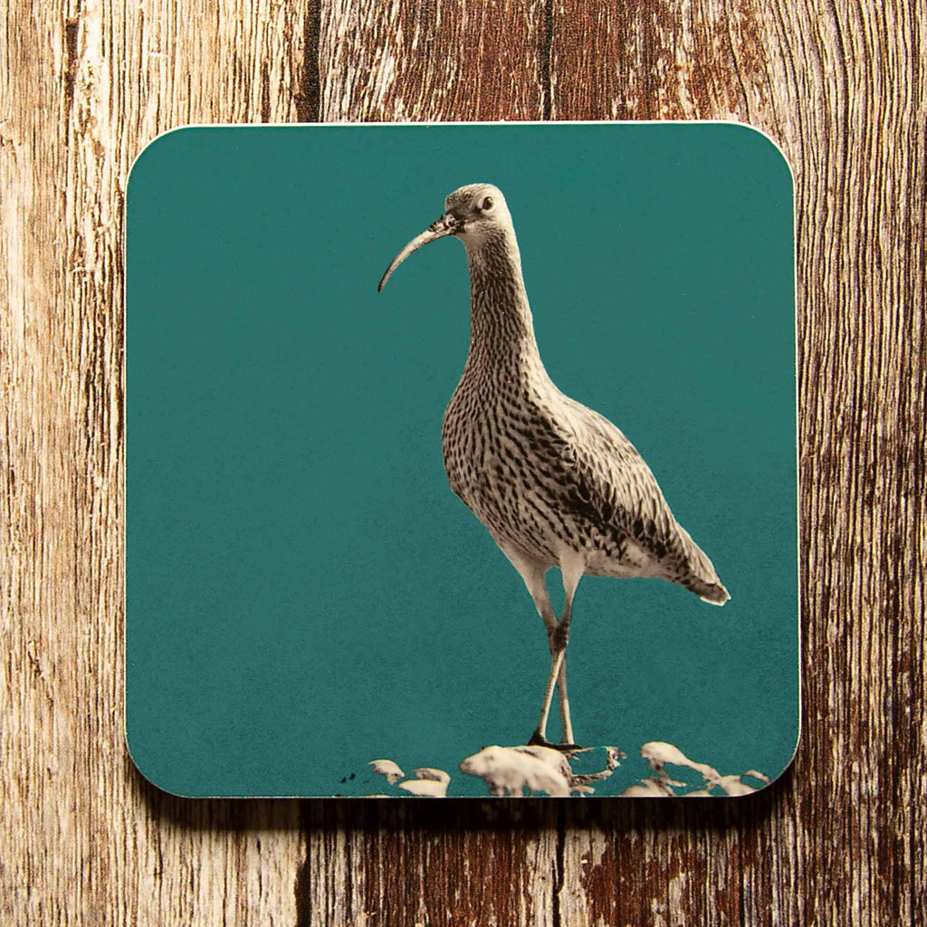 Curlew Coaster - Teal