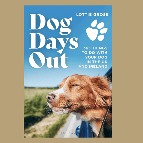Dog Days Out by Lottie Gross