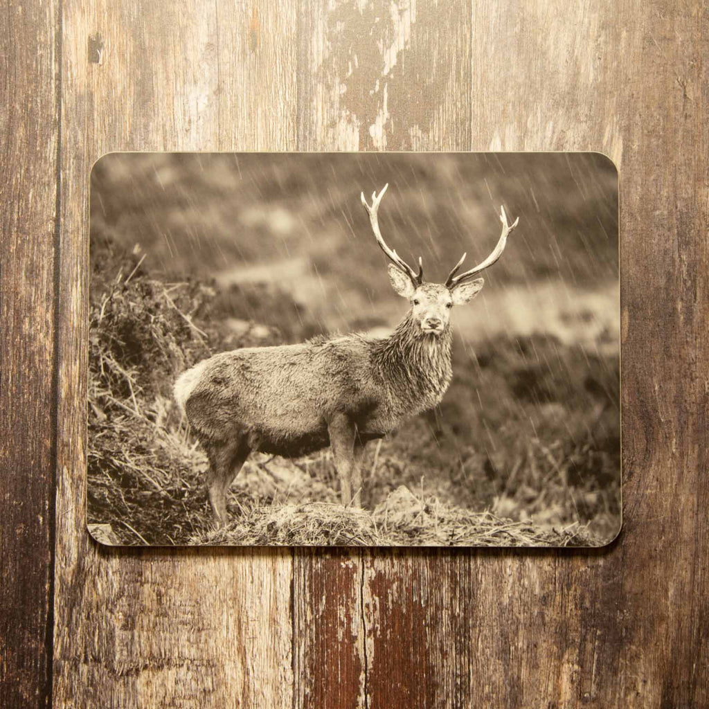 Highland Stag in the Rain Placemat - Black and White