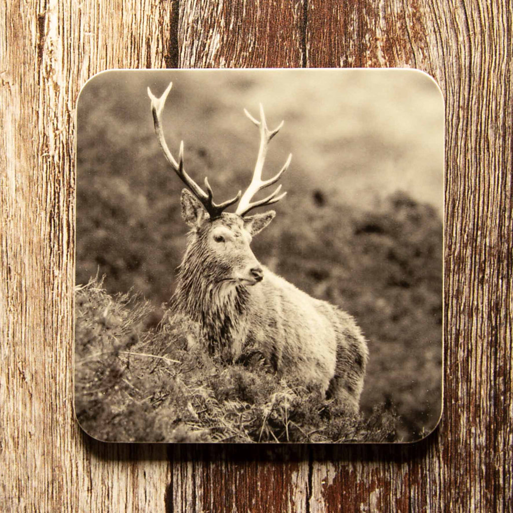 Highland Stag on Hill Coaster - Black and White