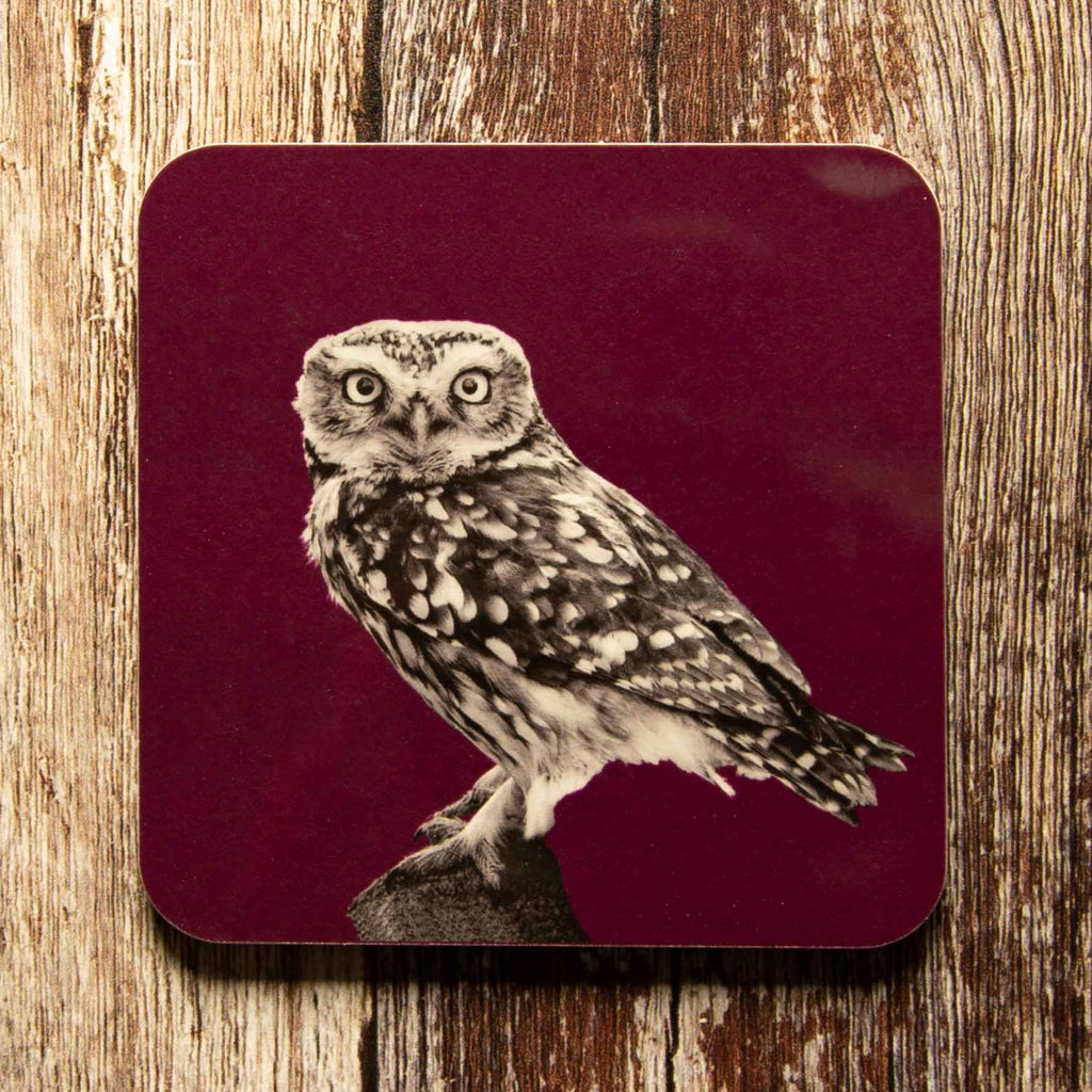 Little Owl Standing Coaster - Mulberry