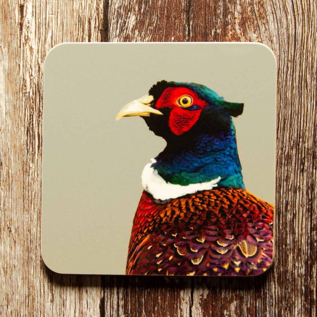 Pheasant Colour Coaster - Sand