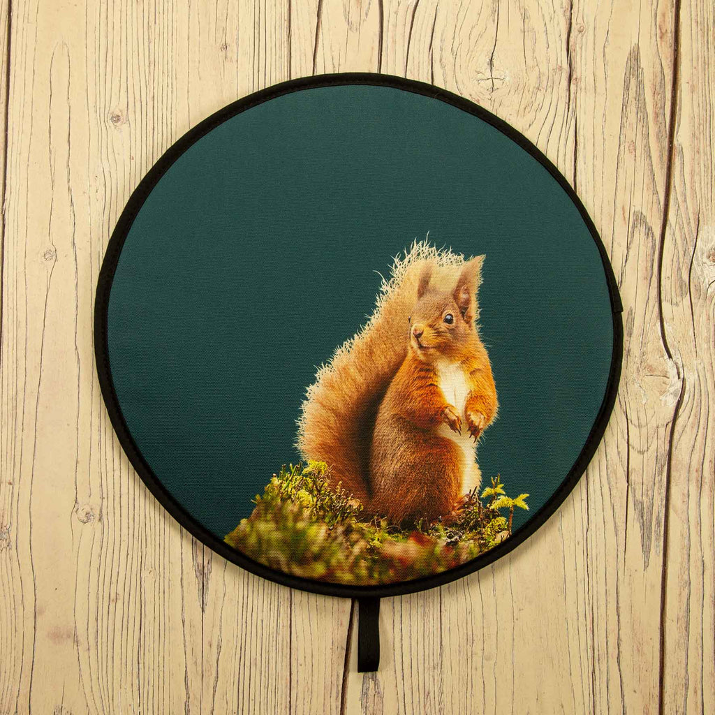 Red Squirrel Chefs Pad for Aga Cooker - Teal Green