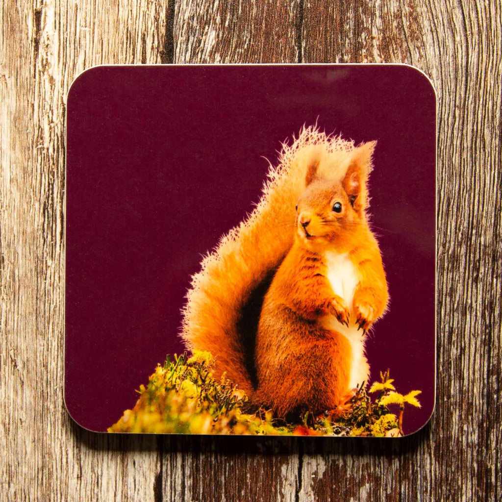 Red Squirrel Coaster - Mulberry