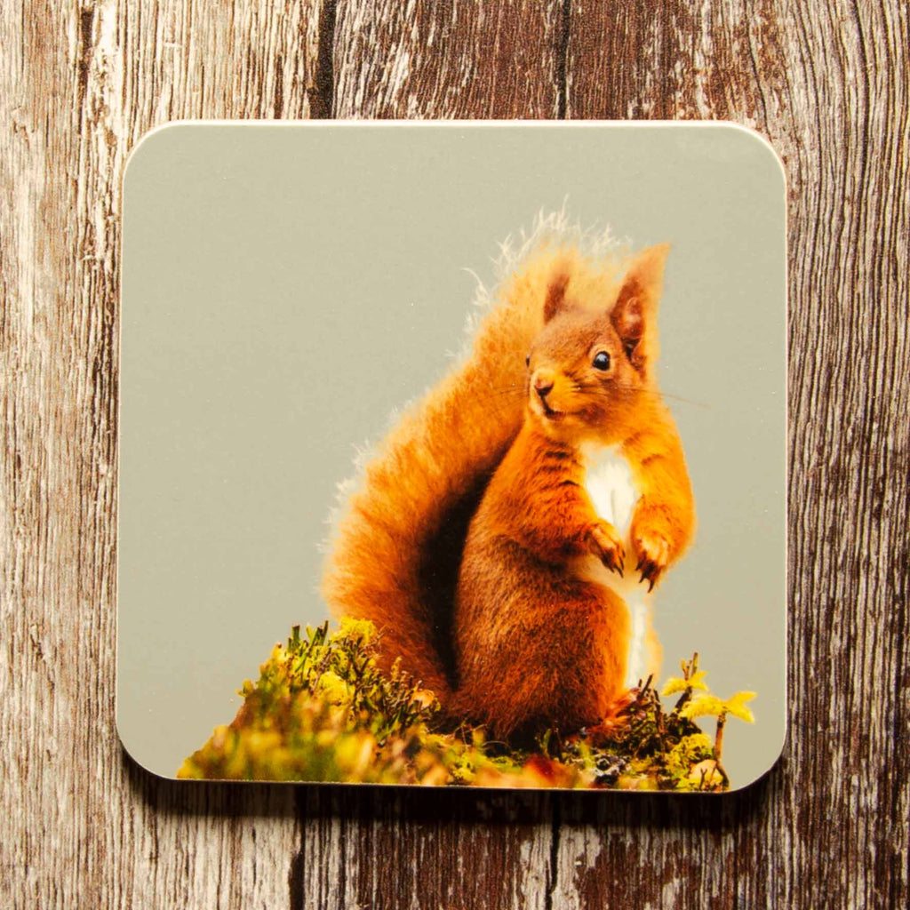 Red Squirrel Coaster - Sand