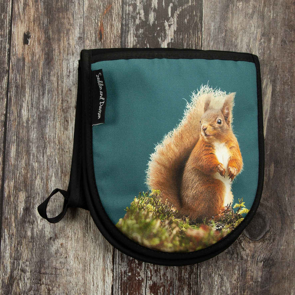 Red Squirrel Oven Gloves - Teal Green