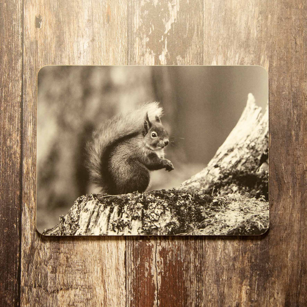 Red Squirrel Placemat - Black and White