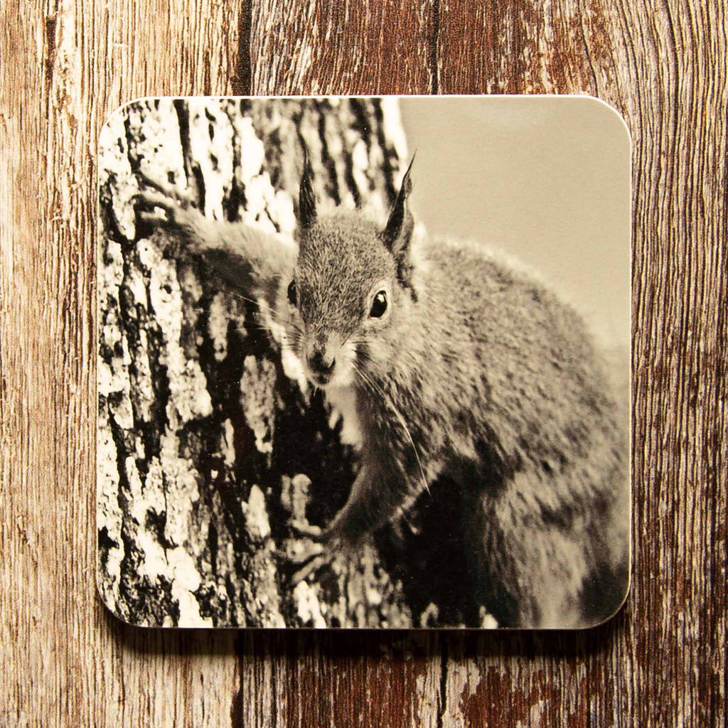 Red Squirrel Coaster on Tree - Black and White