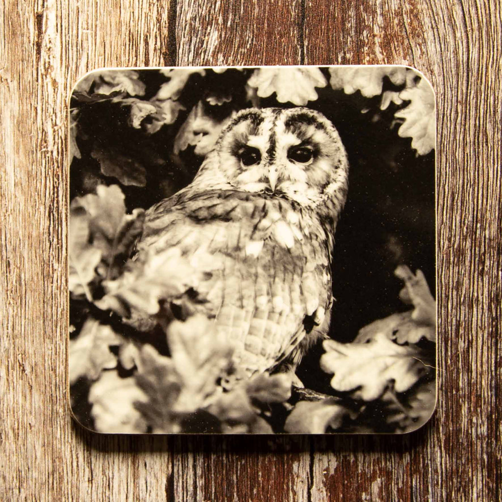 Tawny Owl Coaster - Black and White