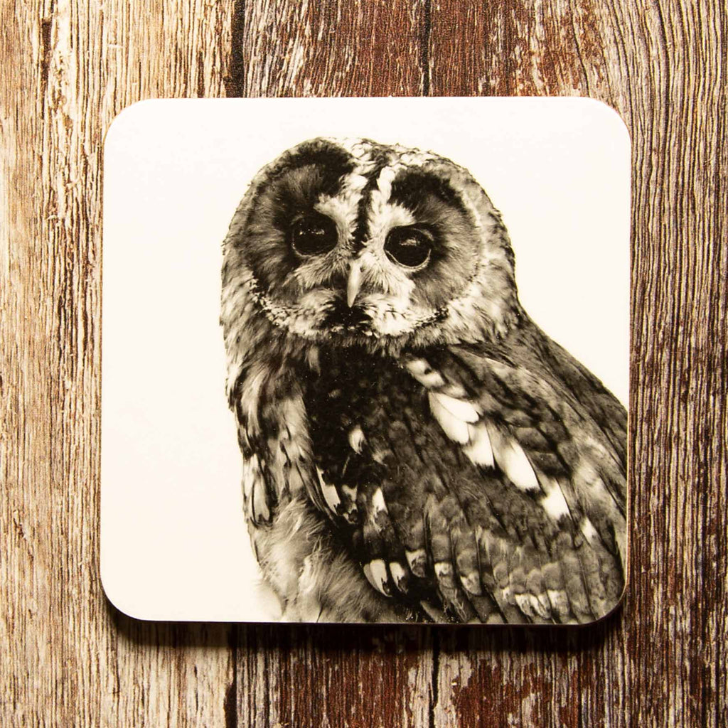 Tawny Owl Coaster - White