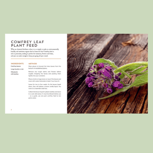 The Garden Apothecary - Comfrey Leaf Plant Seed