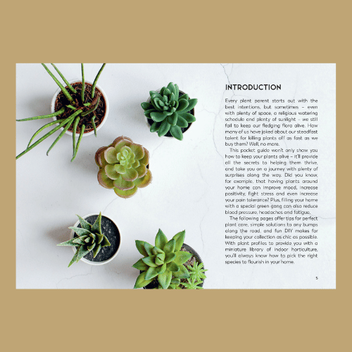 The Little Book for Plant Parents - Introduction