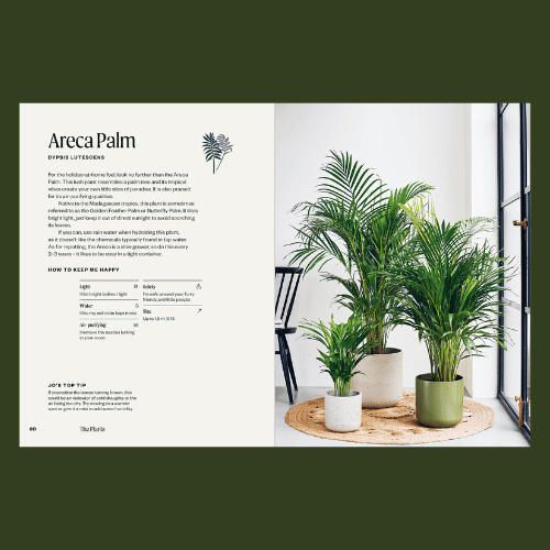 Unkillables Plant Book - Areca Palm