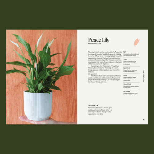 Unkillables Plant Book - Peace Lily