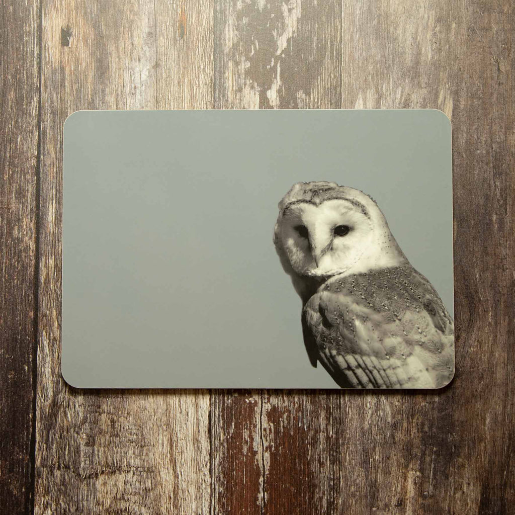 Barn Owl Placemat - Blue Grey