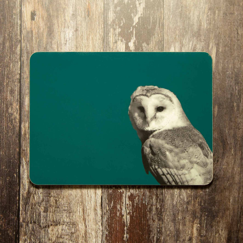 Barn Owl Placemat - Teal
