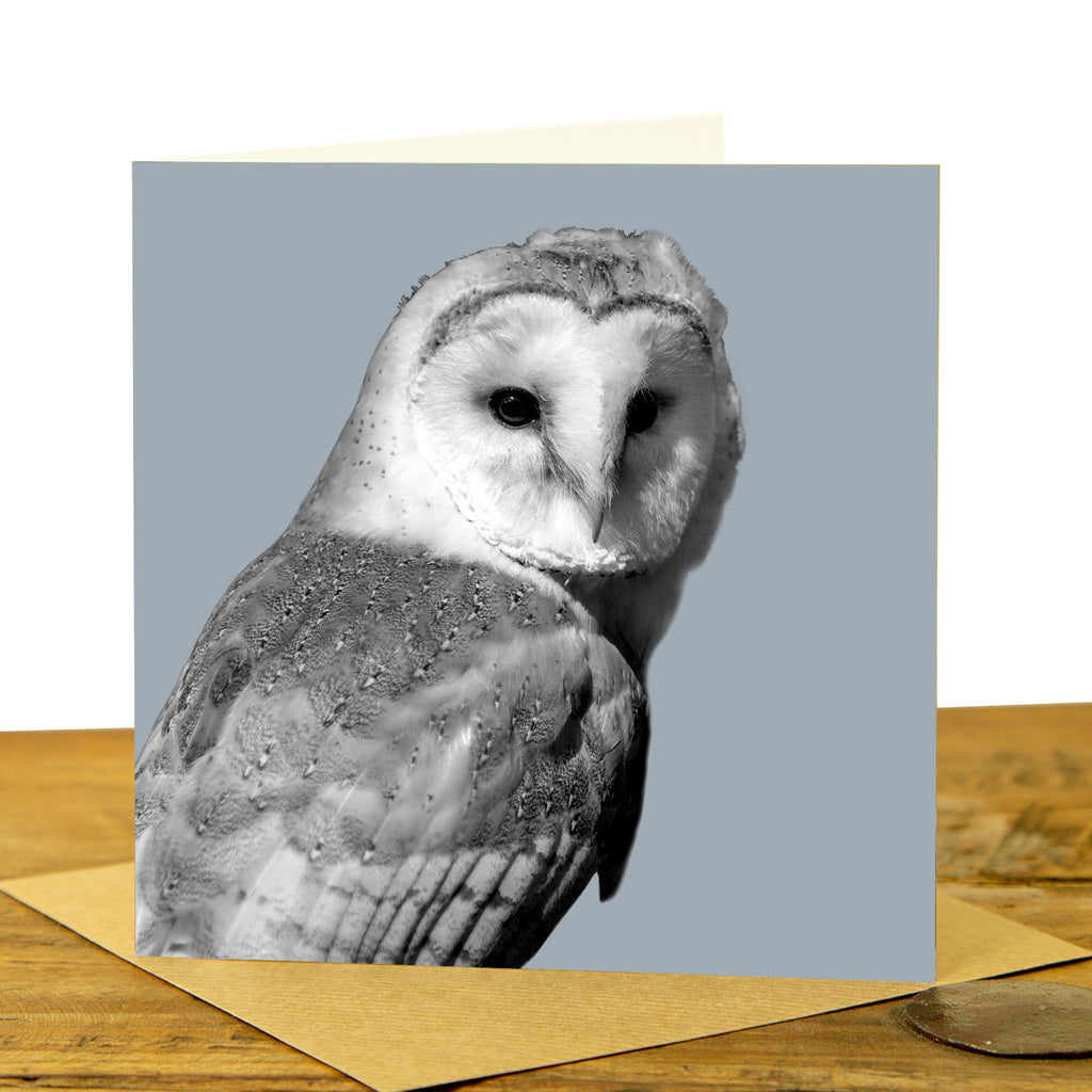 Barn Owl Greeting Card - Pale grey
