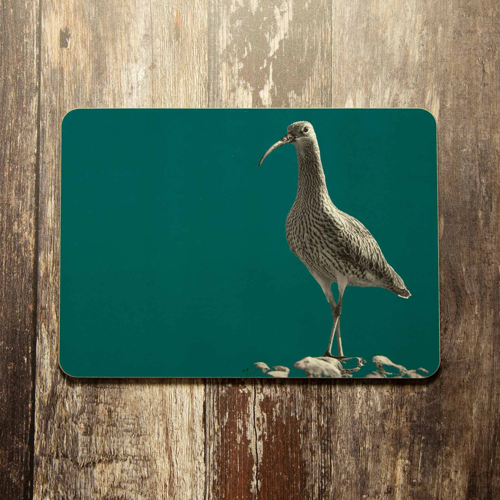 Curlew Placemat - Teal