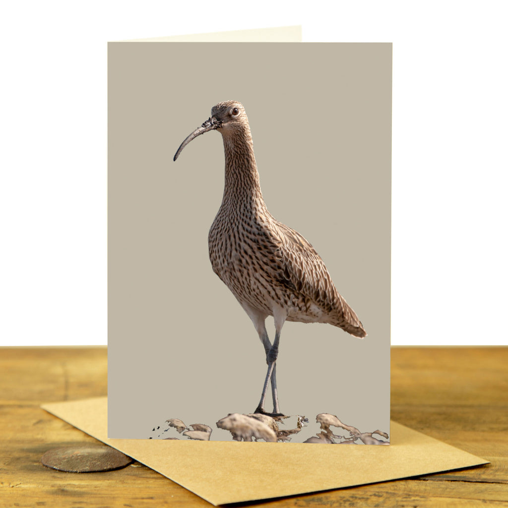 Curlew Greeting Card - Sand Gey