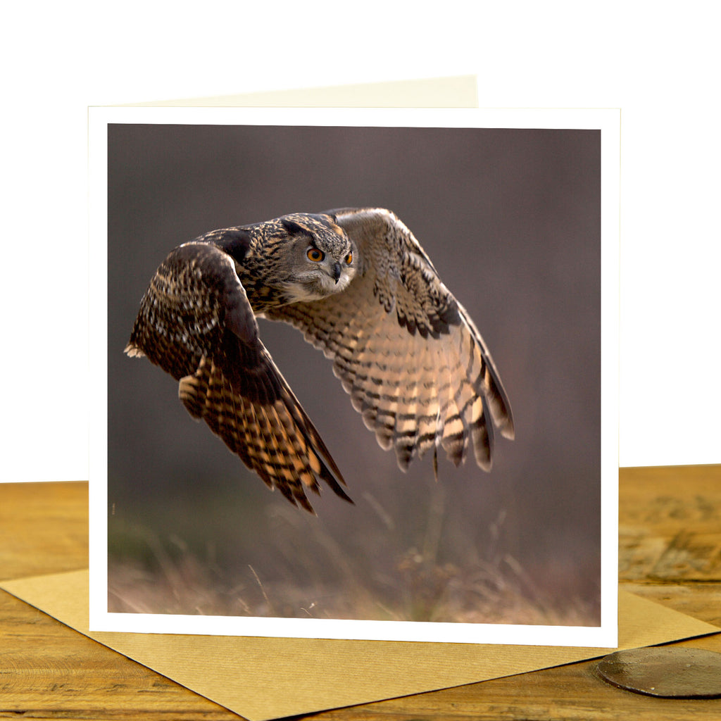 Eagle Owl Greeting Card - Flying Eagle Owl