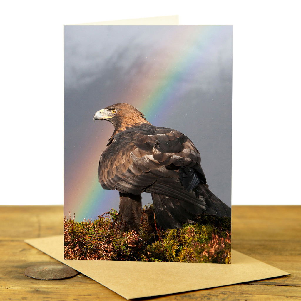 Golden Eagle Greeting Card - Golden Eagle and Rainbow