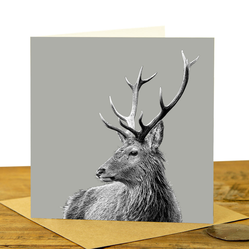 Highland Stag Greeting Card - Sage Grey
