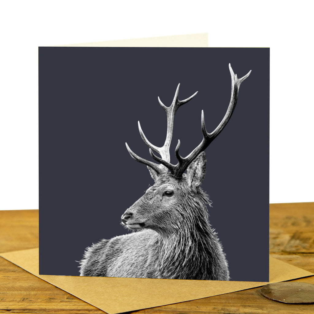 Highland Stag Greeting Card - Charcoal