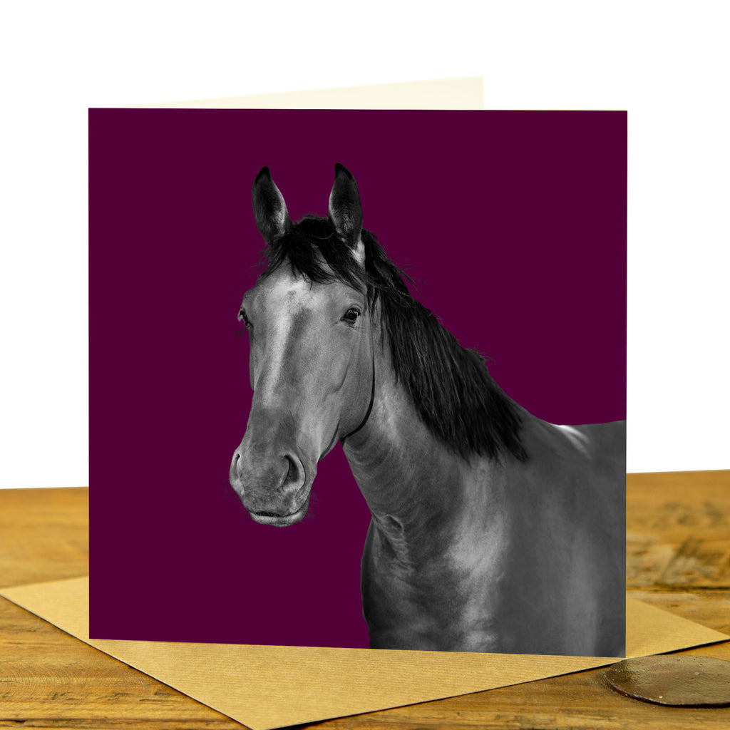 Horse Card  -Claret