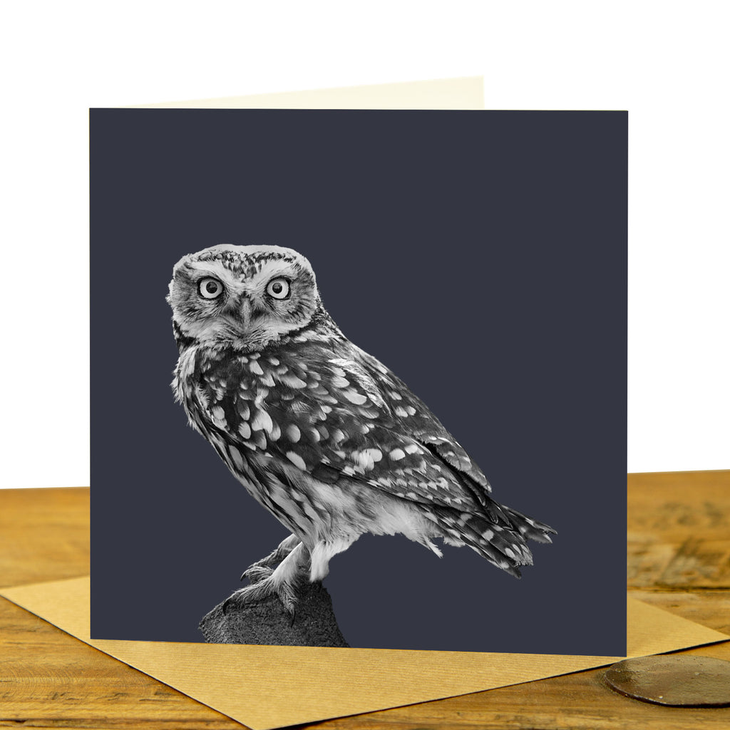 Little Owl Card - Little Owl Standing - Charcoal