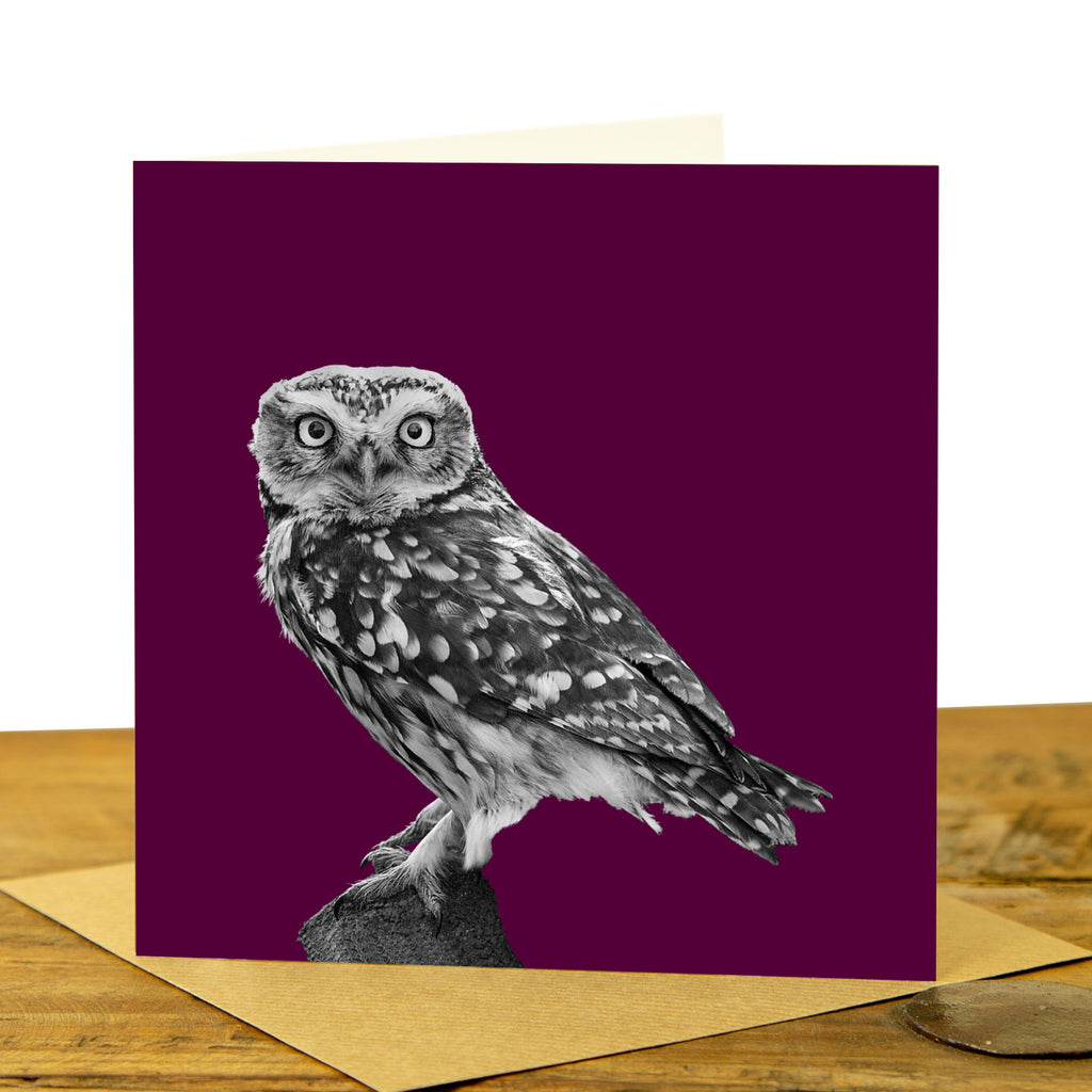 Little Owl Card - Little Owl Standing - Claret