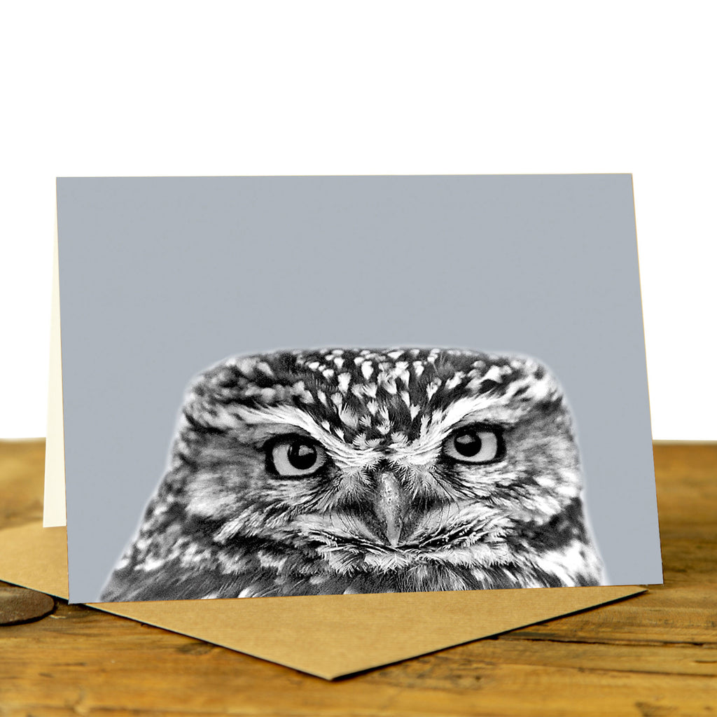 Little Owl Card - Little Owl Peeking - Pale Grey