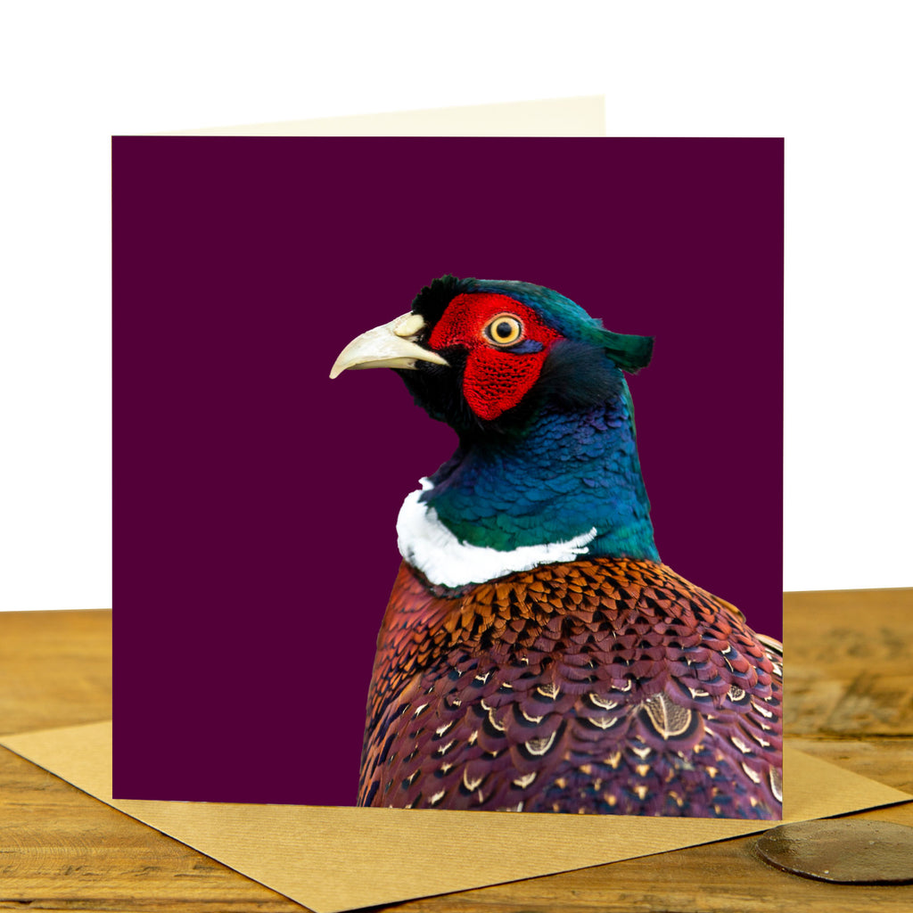 Pheasant Card - Colour Image - Claret Background