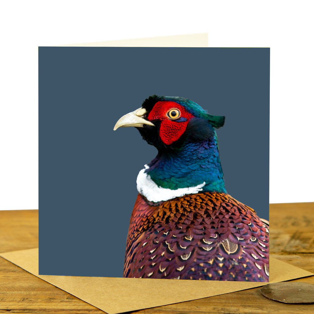 Pheasant Card - Colour Image - Indigo Background