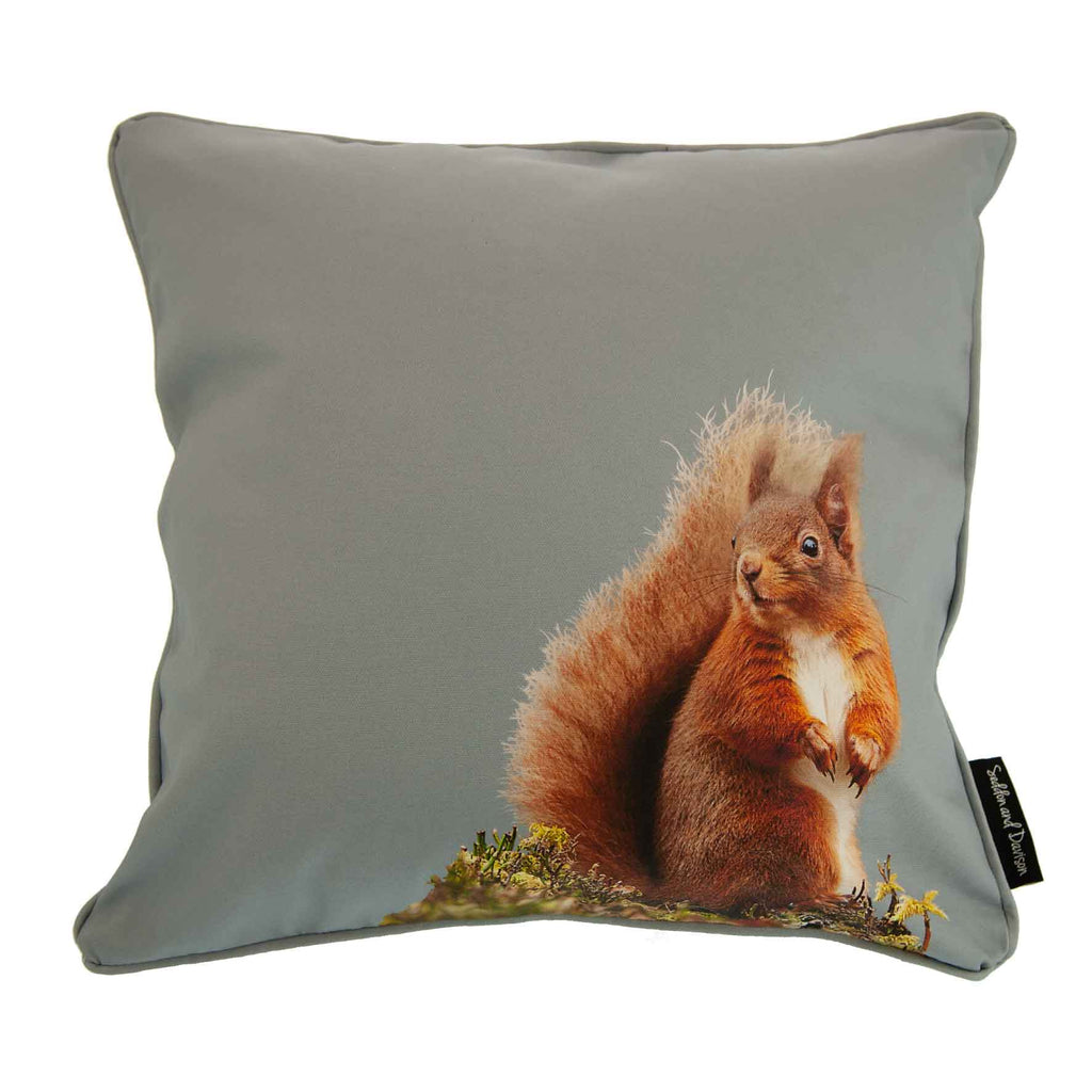 Red Squirrel Cushion - Pale Grey