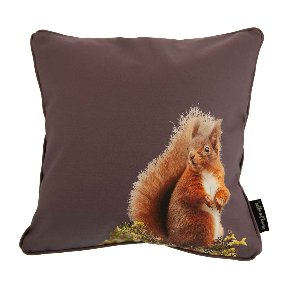 Red Squirrel Cushion - Dusky Pink