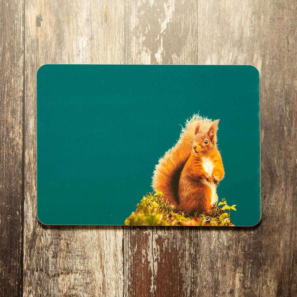 Red Squirrel Placemat - Teal