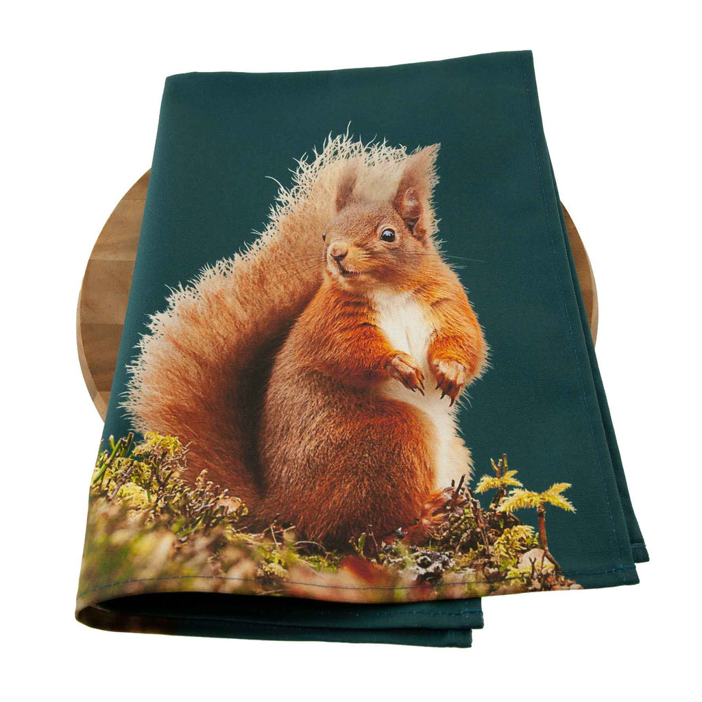 Red squirrel tea towel - teal green