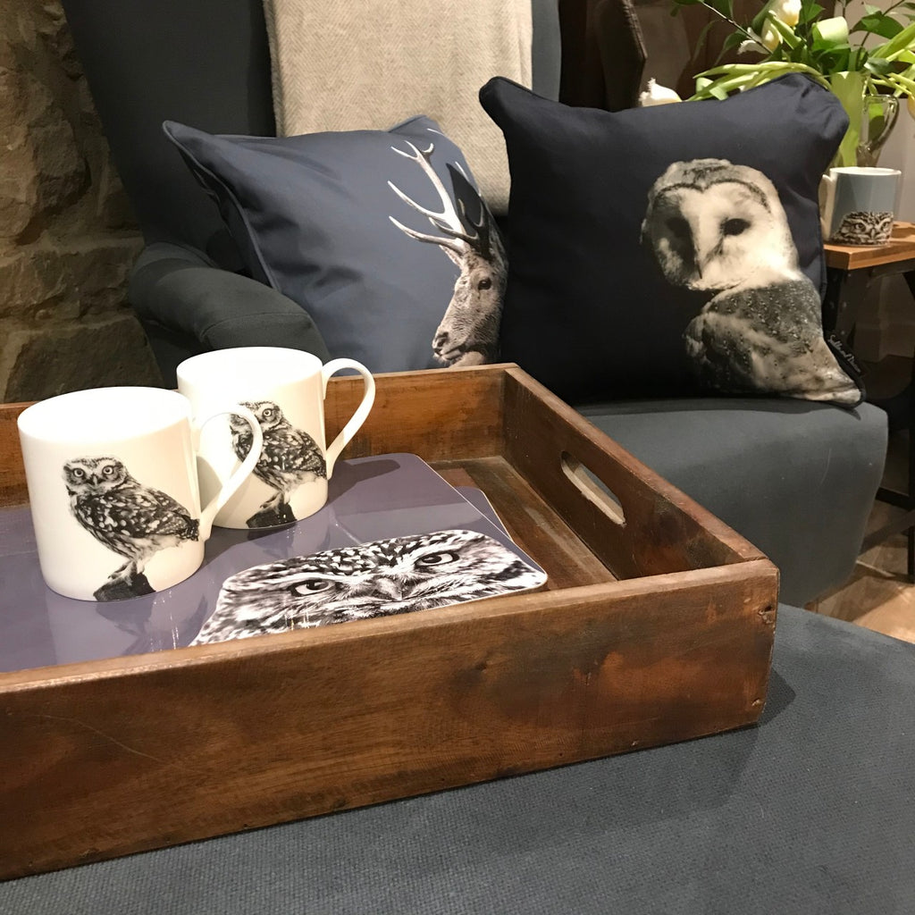 Barn Owl Cushion - Lifestyle