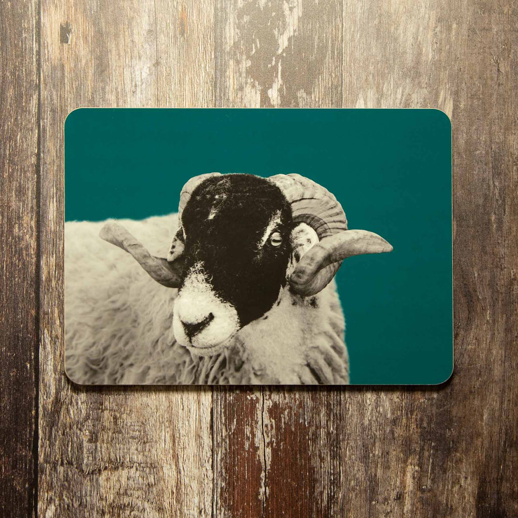 Sheep Placemat - Teal