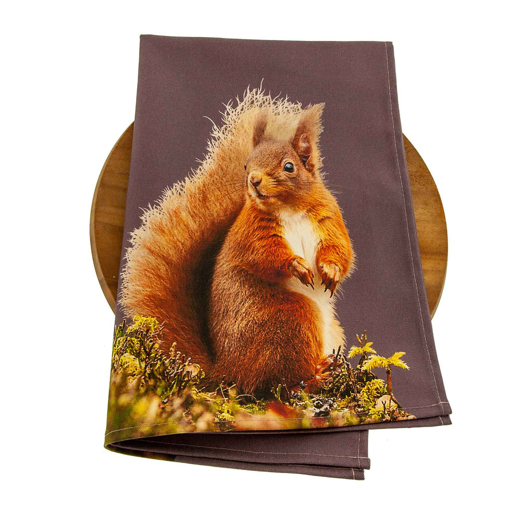 Red Squirrel Tea Towel - Dusky Pink
