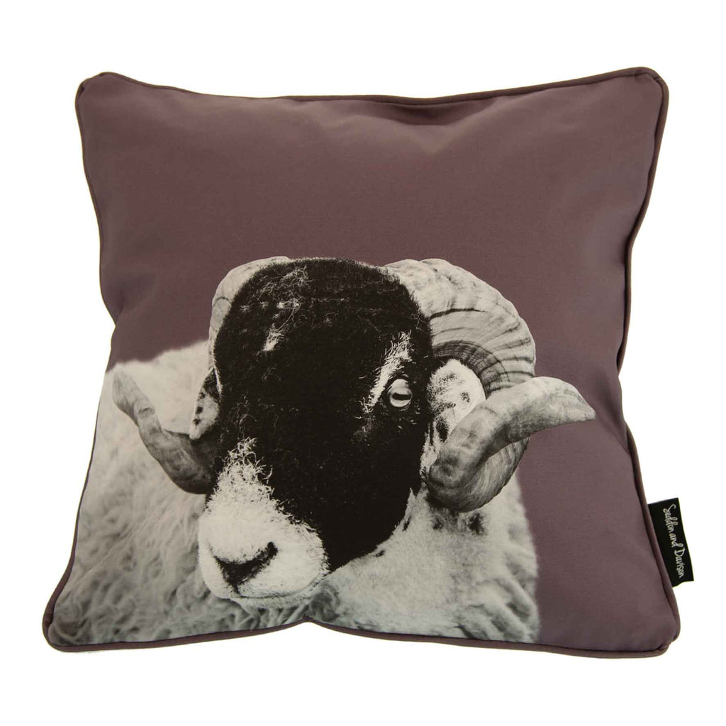 Swaledale Sheep Cushion - Dusky Pink