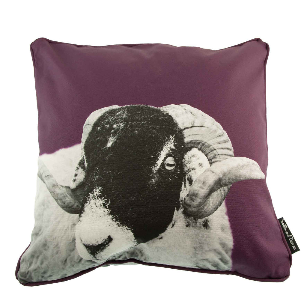 Swaledale Sheep Cushion - Mulberry