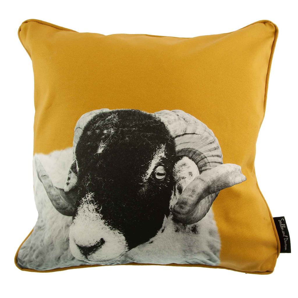 Swaledale Sheep Cushion - Ochre