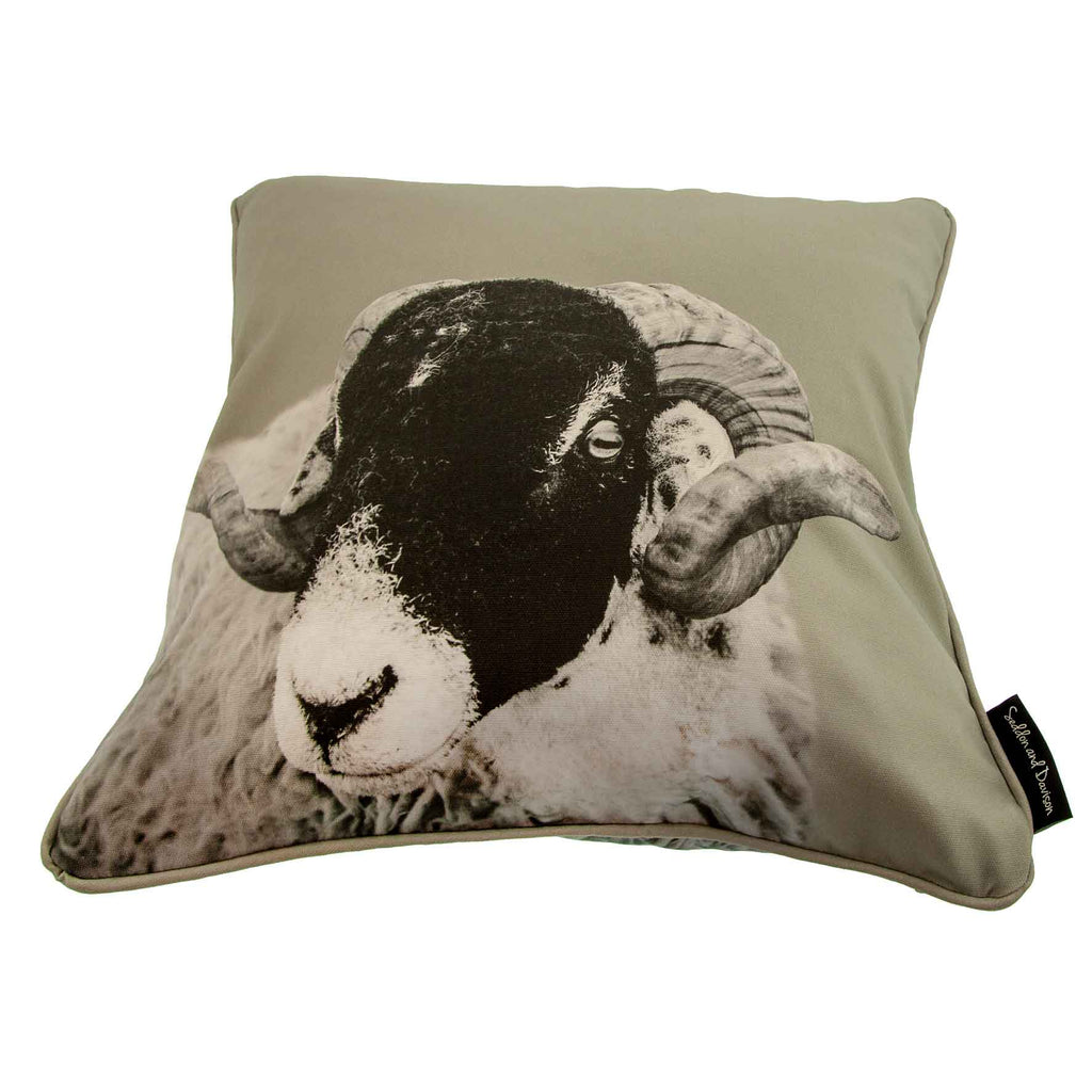 Swaledale Sheep Cushion - Sage Grey