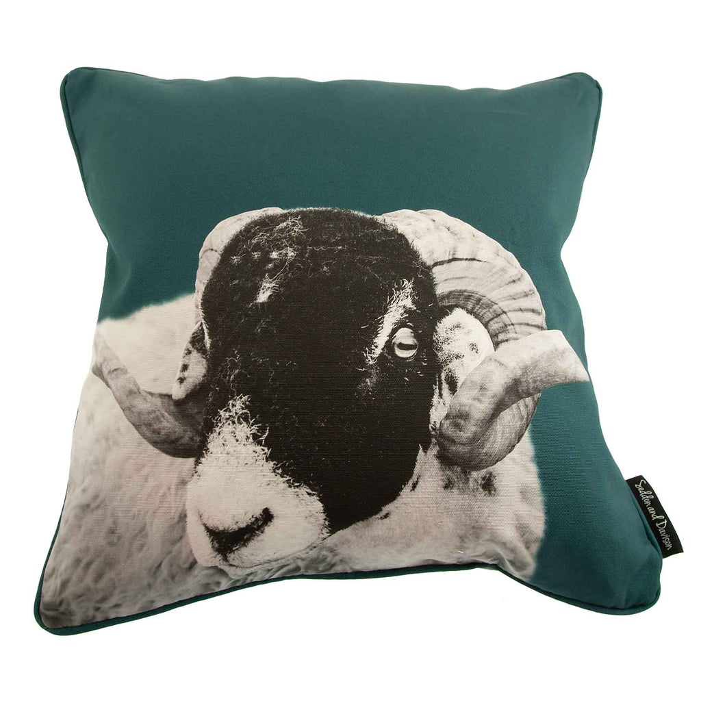 Swaledale Sheep Cushion - Teal Green